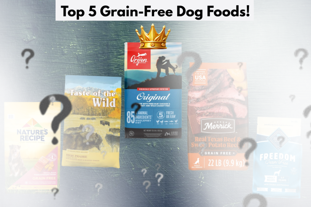 Top 5 Best Grain-Free Dog Foods: Top Picks for a Healthy, Happy Pup